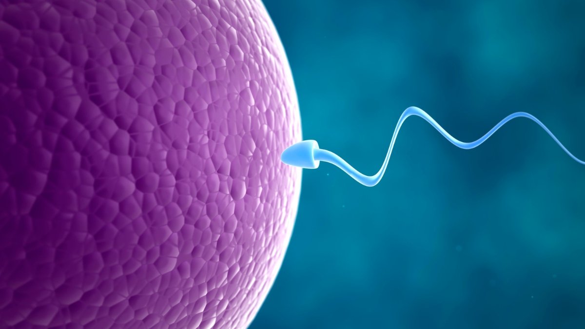 Third-party reproduction IVF services in Delhi