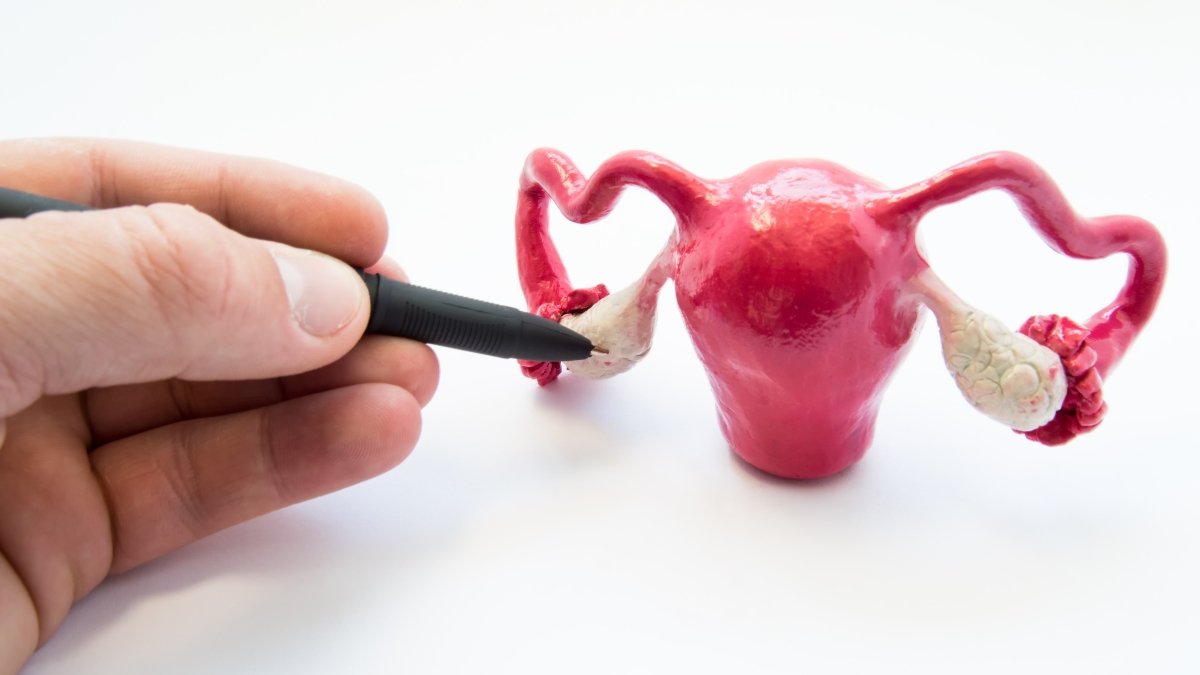 Dr. Sandeep Talwar consulting about ovarian rejuvenation in Delhi.